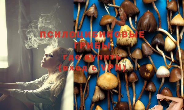 марки nbome Белокуриха
