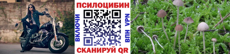 Галлюциногенные грибы Psilocybine cubensis  Йошкар-Ола 